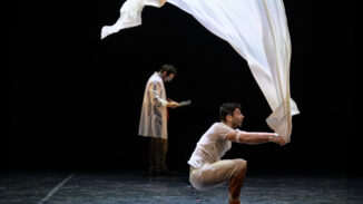 DARWIN – EVOLUTI PER CASO